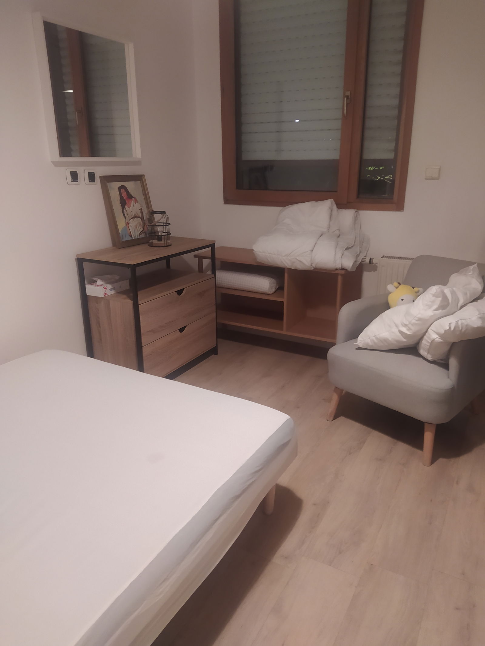 Homestay Villeurbanne 343417