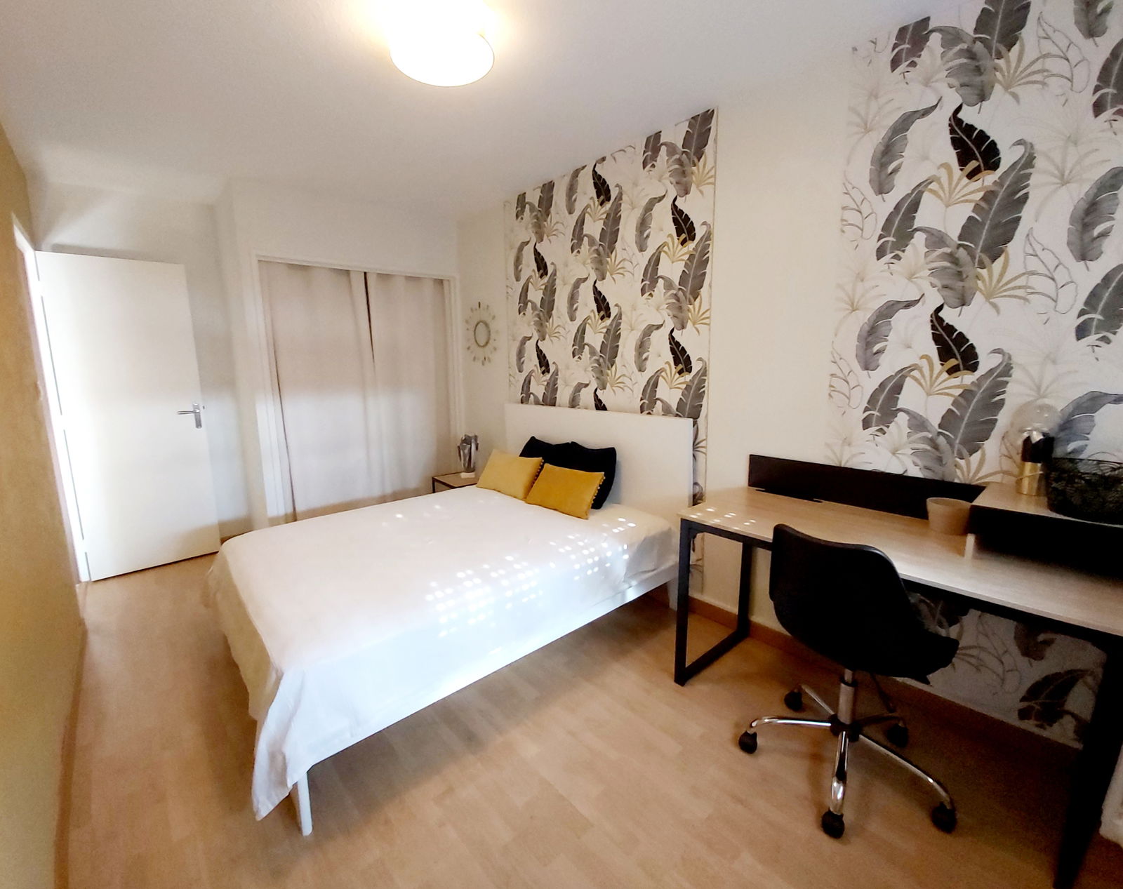 Colocation Blagnac 238771