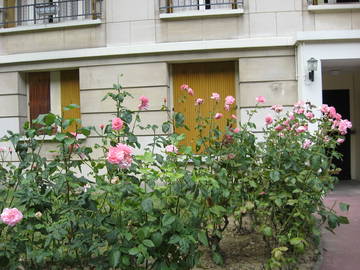 Logement Entier Versailles 249629-7