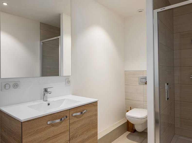 Kolokasie Strasbourg 256640-2