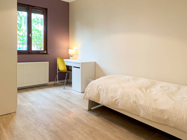 Kolokasie Strasbourg 256640-4