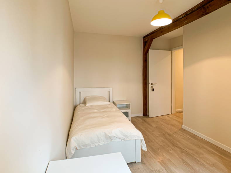 Kolokasie Strasbourg 256640-5