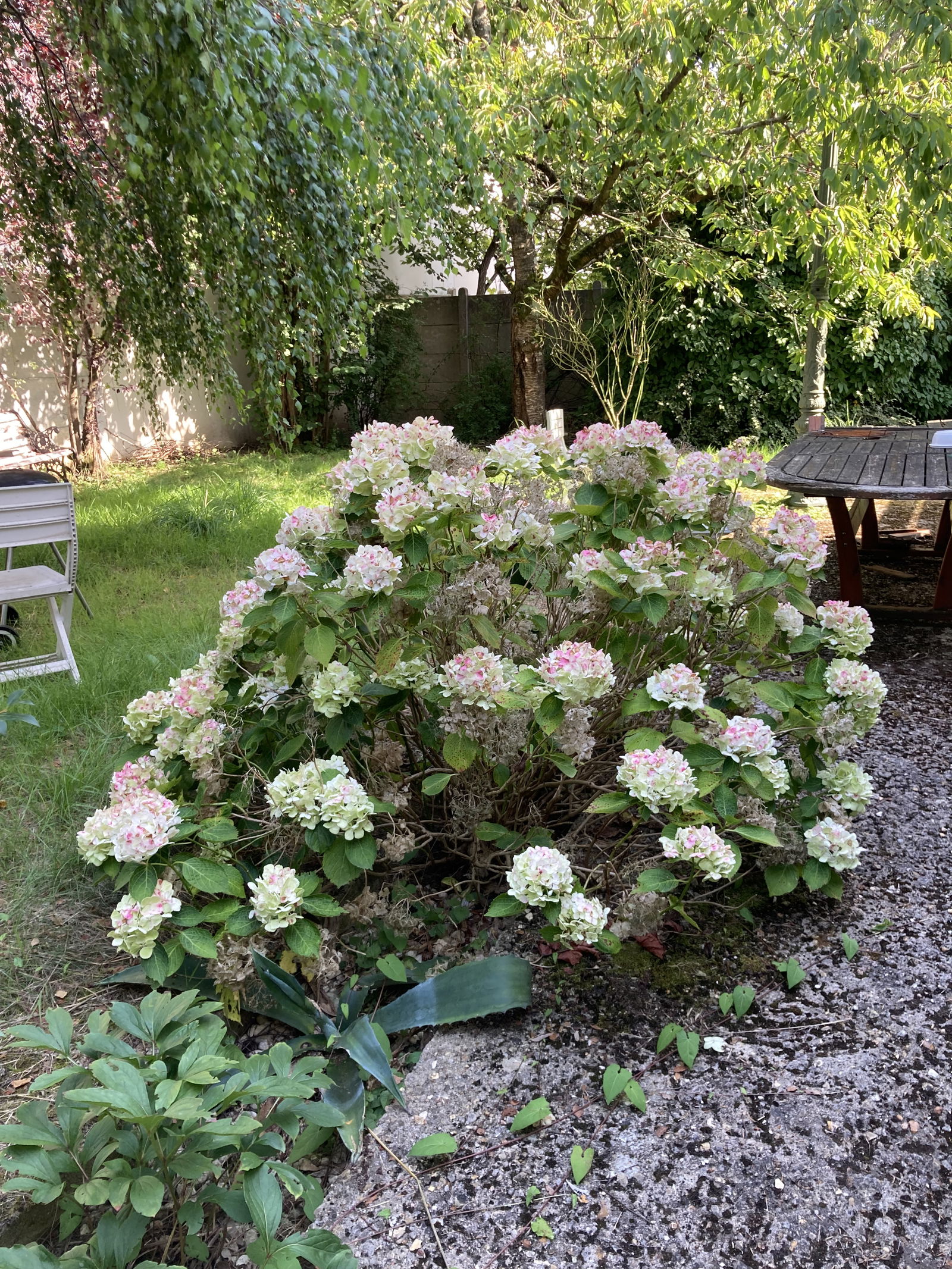 Colocação Sainte-Geneviève-des-Bois 408332