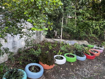 Chambre chez l'habitant à louer à Vieux-Habitants - photo 13-13