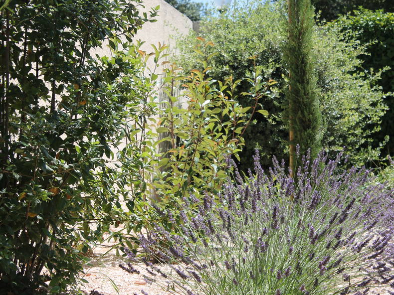 Quedarse En Casa Garrigues-Sainte-Eulalie 188345-2