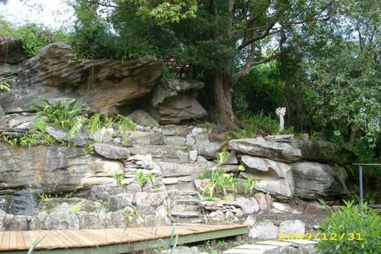 Gastfamilie Middle Cove 232430