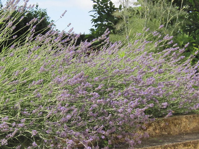 Gästezimmer Marillac-le-Franc 16359