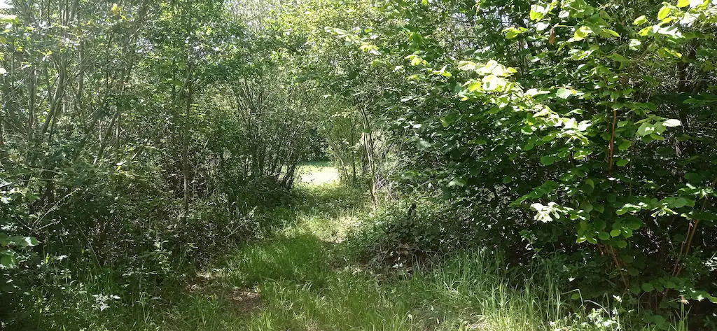 Unabhängiges Studio Vielle-Tursan 267438