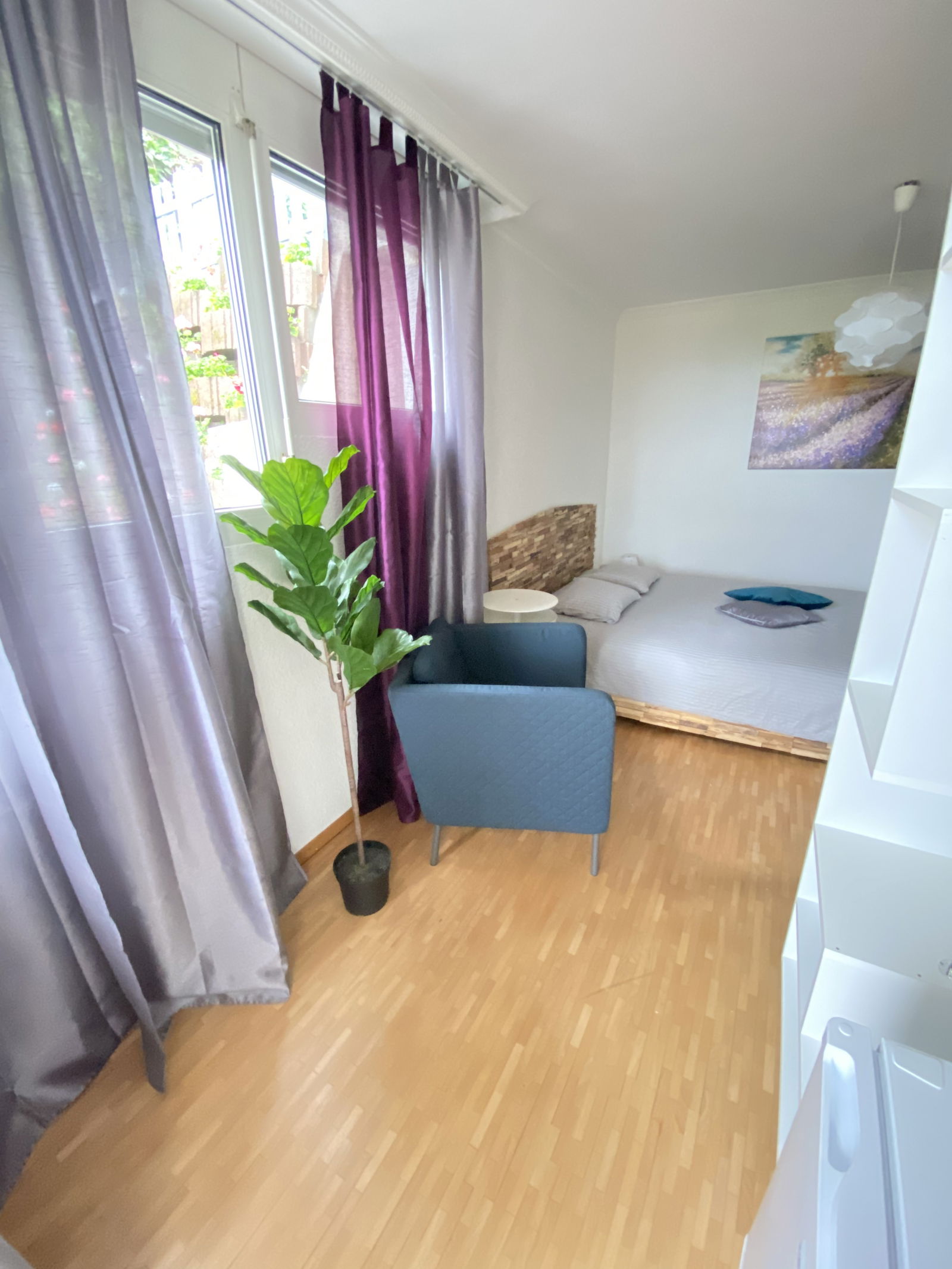 Kolokasie Renens 247325