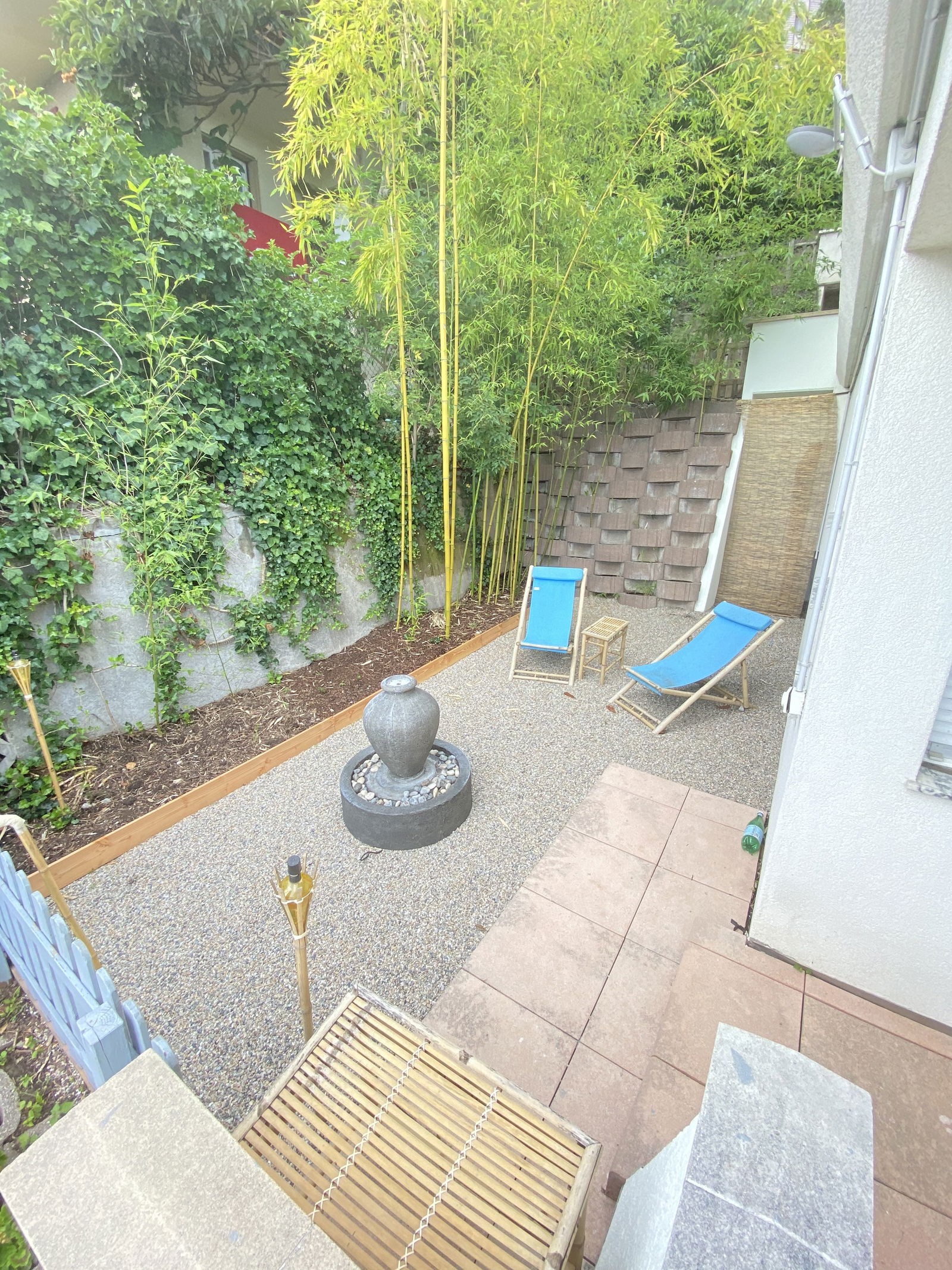 Kolokasie Renens 247325