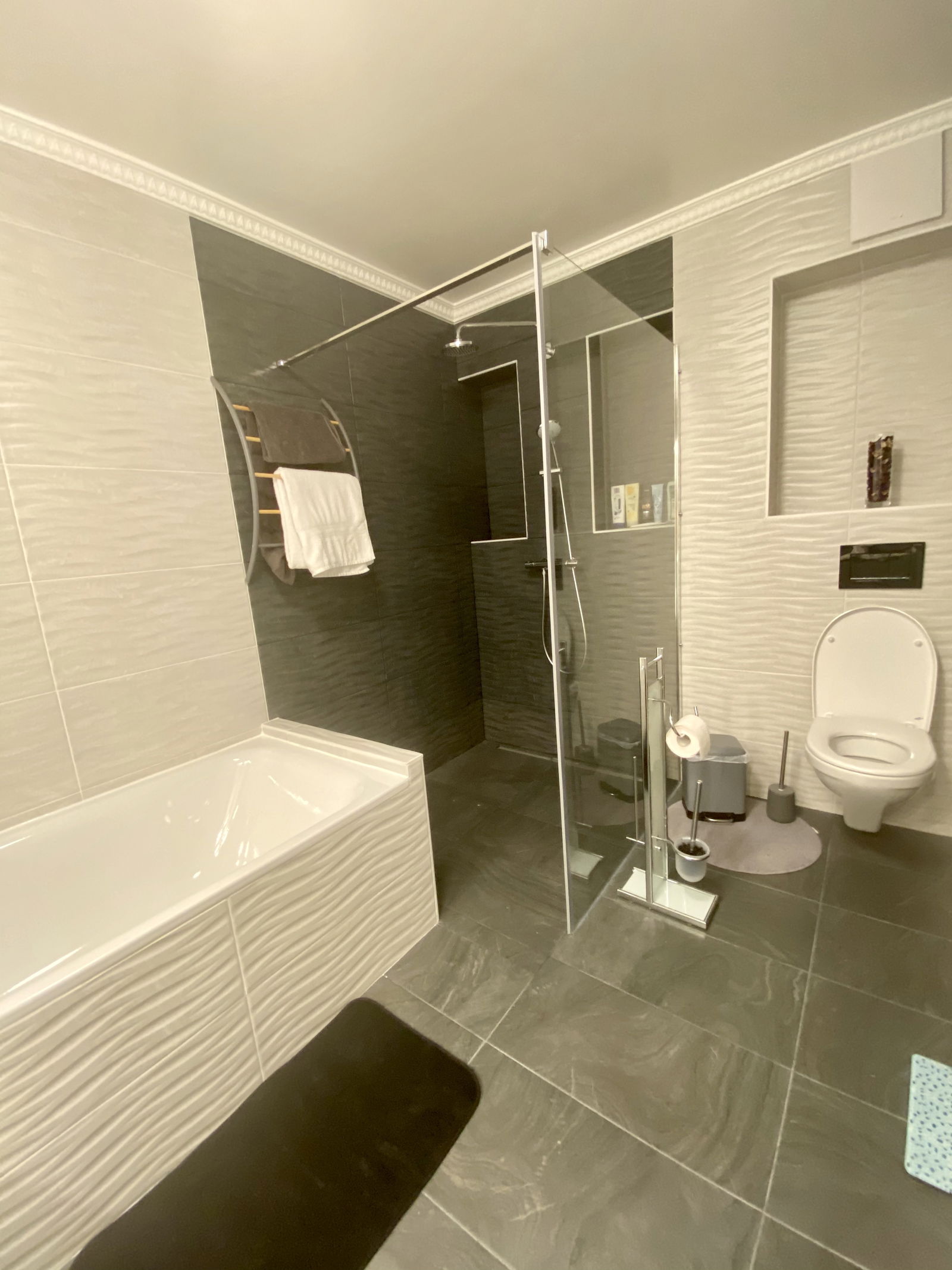 Colocatie Renens 247325