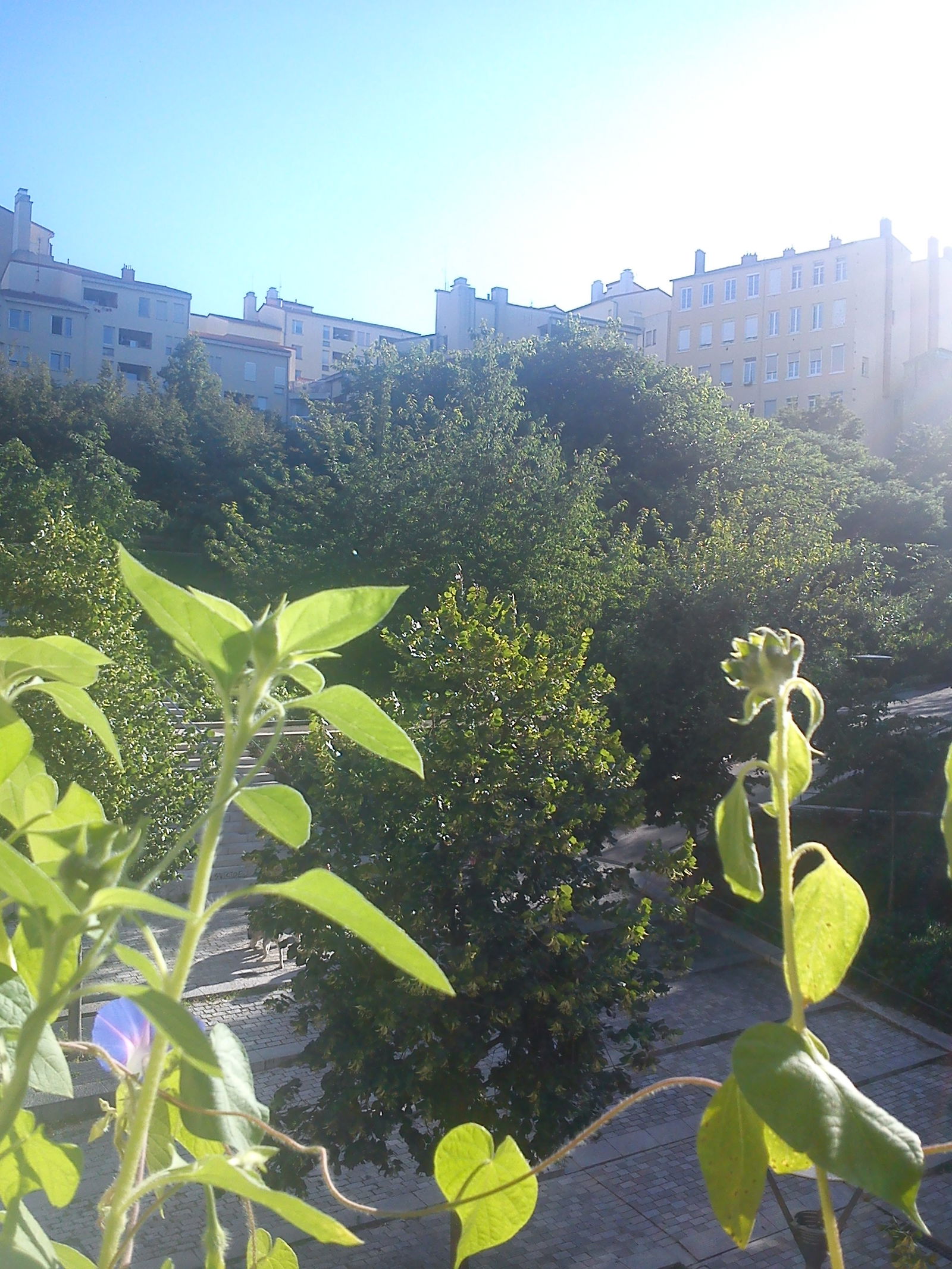 Homestay Lyon 266877