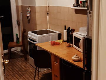 Chambre chez l'habitant à louer à Genève - photo 9 : autre pièce-9