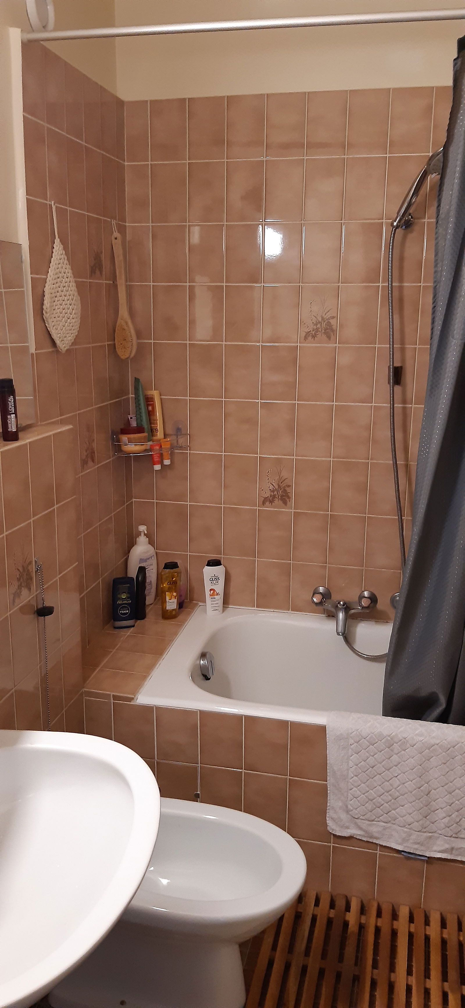 Homestay Genève 171082
