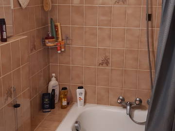 Chambre chez l'habitant à louer à Genève - photo 11 : salle de bain-11