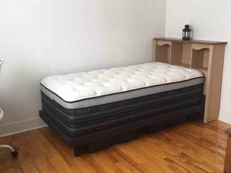 Kolokasie Québec 259721-1