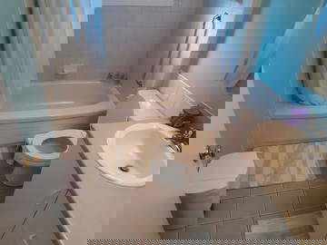 Colocation Québec 259721-8