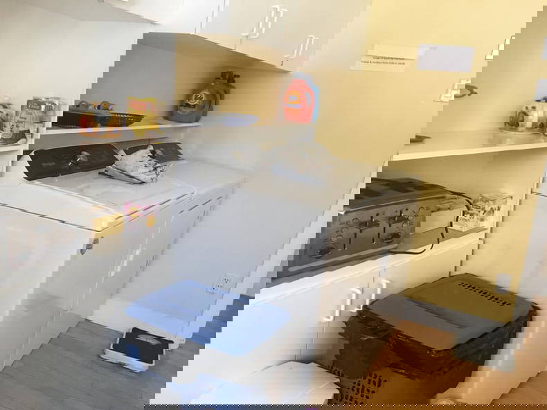 Kolokasie Québec 259721-4