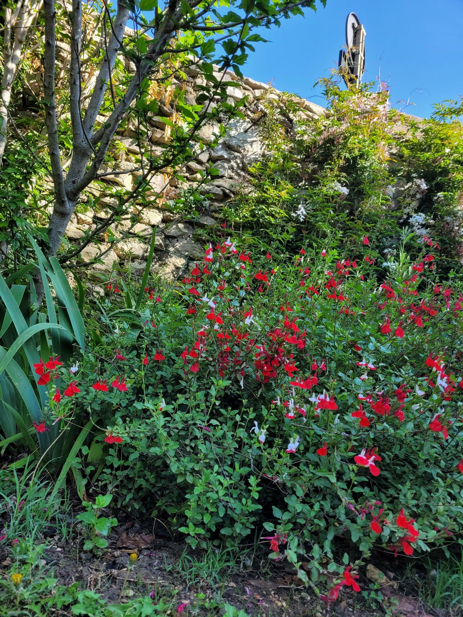 Homestay Nîmes 178536