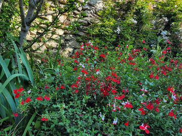 Homestay Nîmes 178536-7