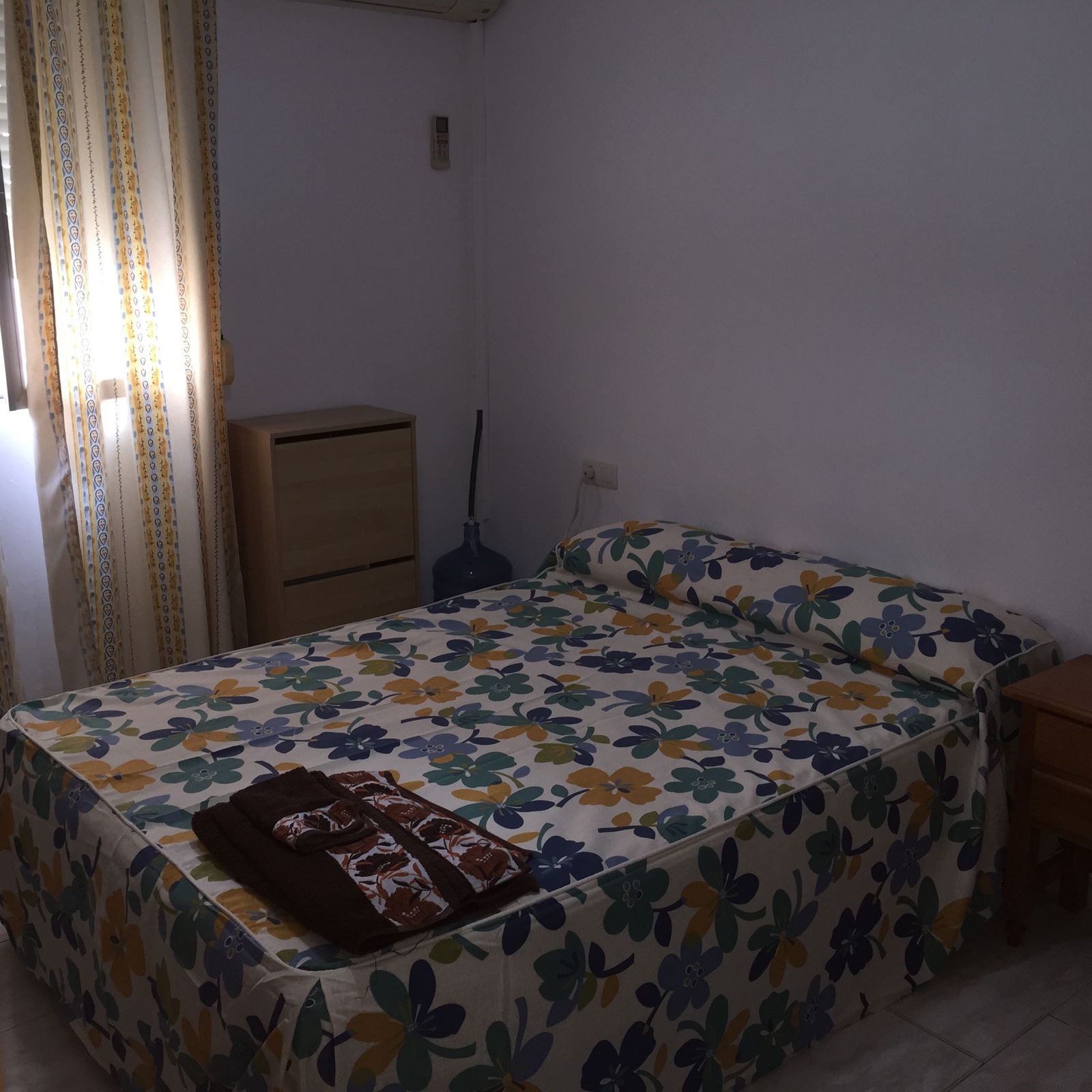 Kolokasie Málaga 256939