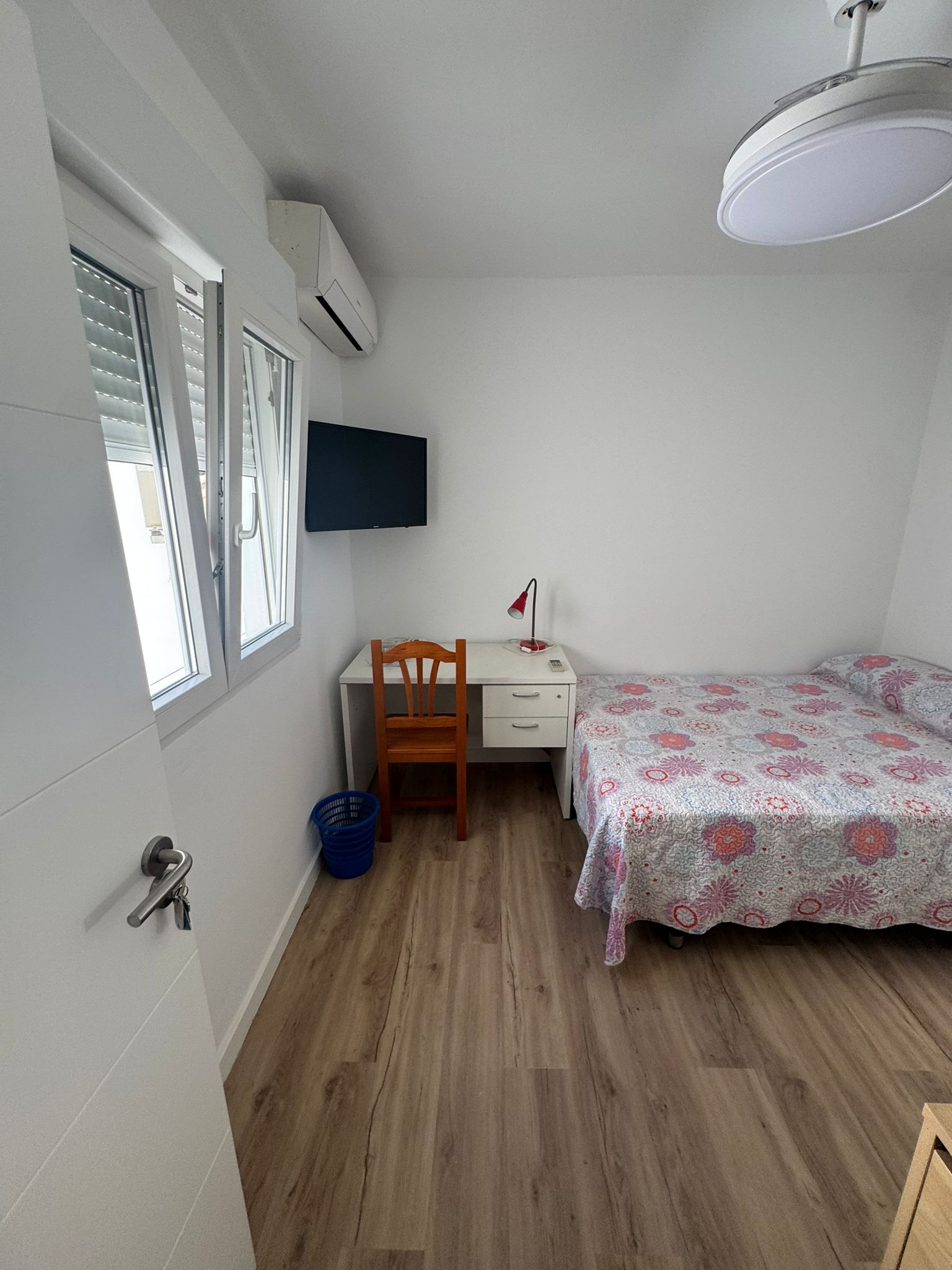 Kolokasie Málaga 256939