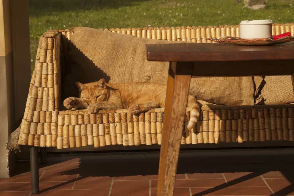 Hospedagem Em Casa De Família Ellera 190222