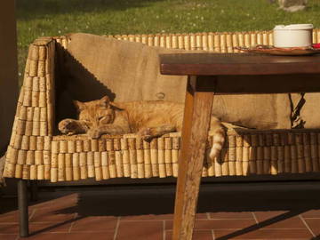 Chambre Chez L'habitant Ellera 190222-6