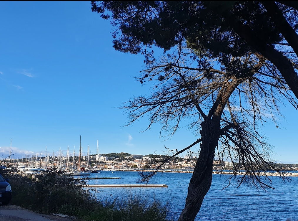 Itsenäinen Studio Martigues 246904