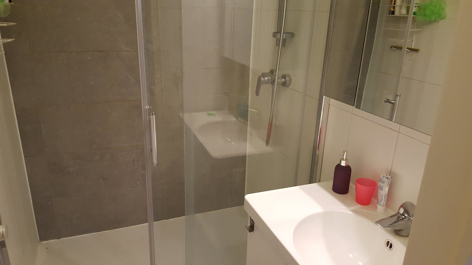 Homestay Etterbeek 135992