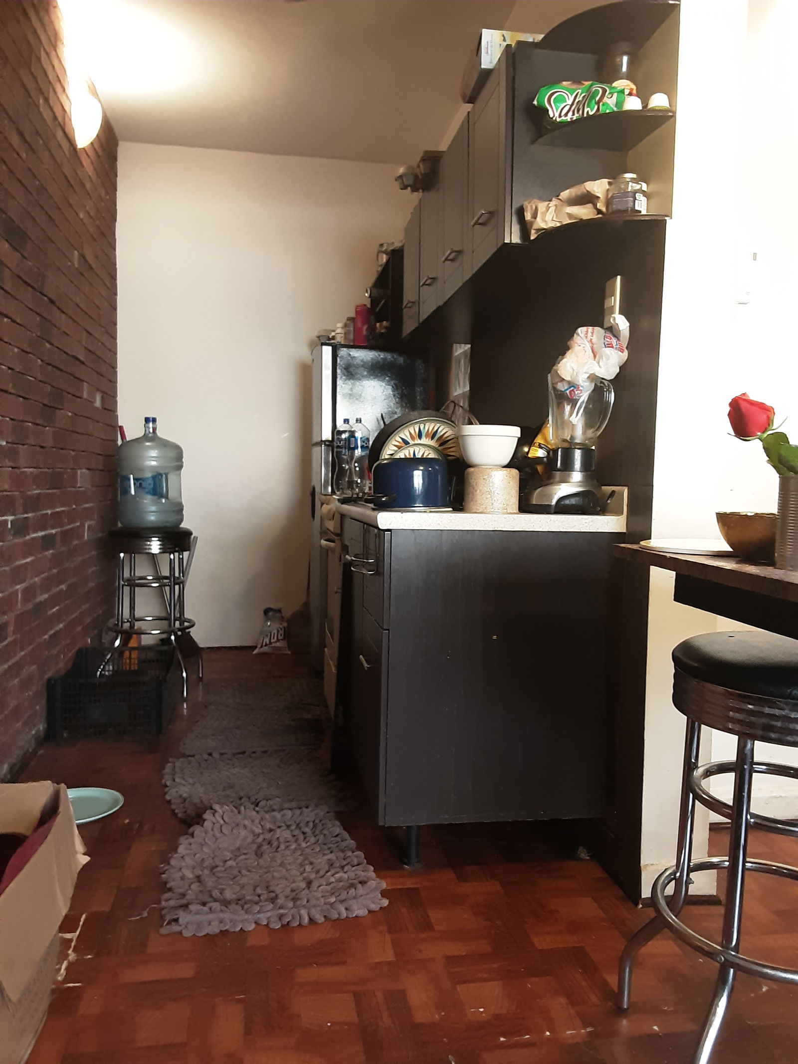 Gastfamilie México D.F. 262393