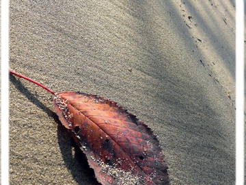 Gastfamilie Cheyres-Châbles 631112-2