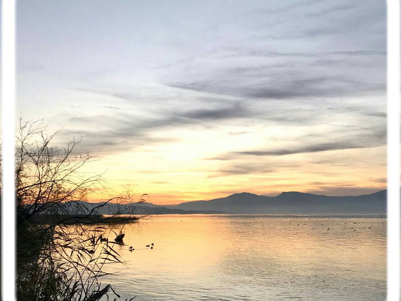 Chambre Chez L'habitant Cheyres-Châbles 631112-1
