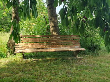 Chambre chez l'habitant à louer à Cheyres-Châbles - photo 2 : jardin-2