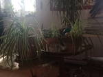 Coliving Lambersart 630236