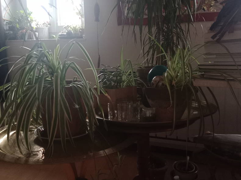 Kolokation Lambersart 630236-1