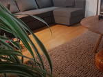 Coliving Lambersart 630236
