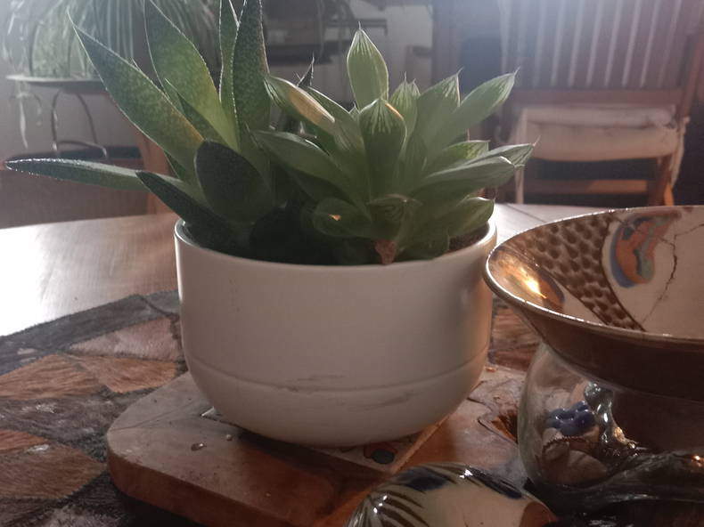 Kolokation Lambersart 630236-4