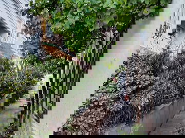 Chambre Chez L'habitant Portbou 663056-13