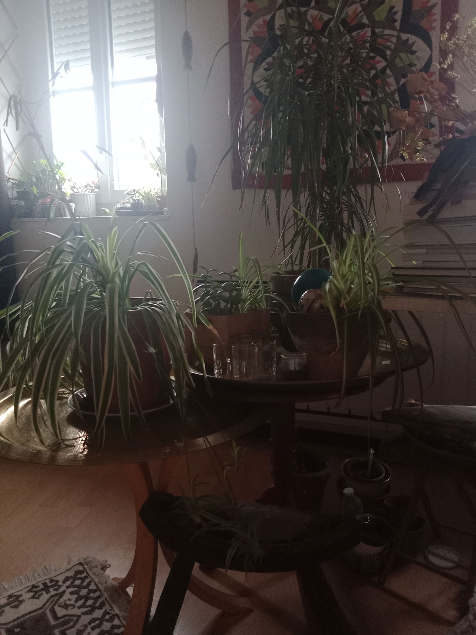 Colocação Lambersart 630236