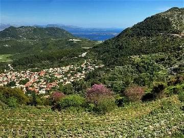 Chambre Chez L'habitant Karya 161557-4