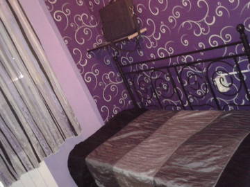 Roomlala | Estou procurando um colega de quarto que aceite gatos!