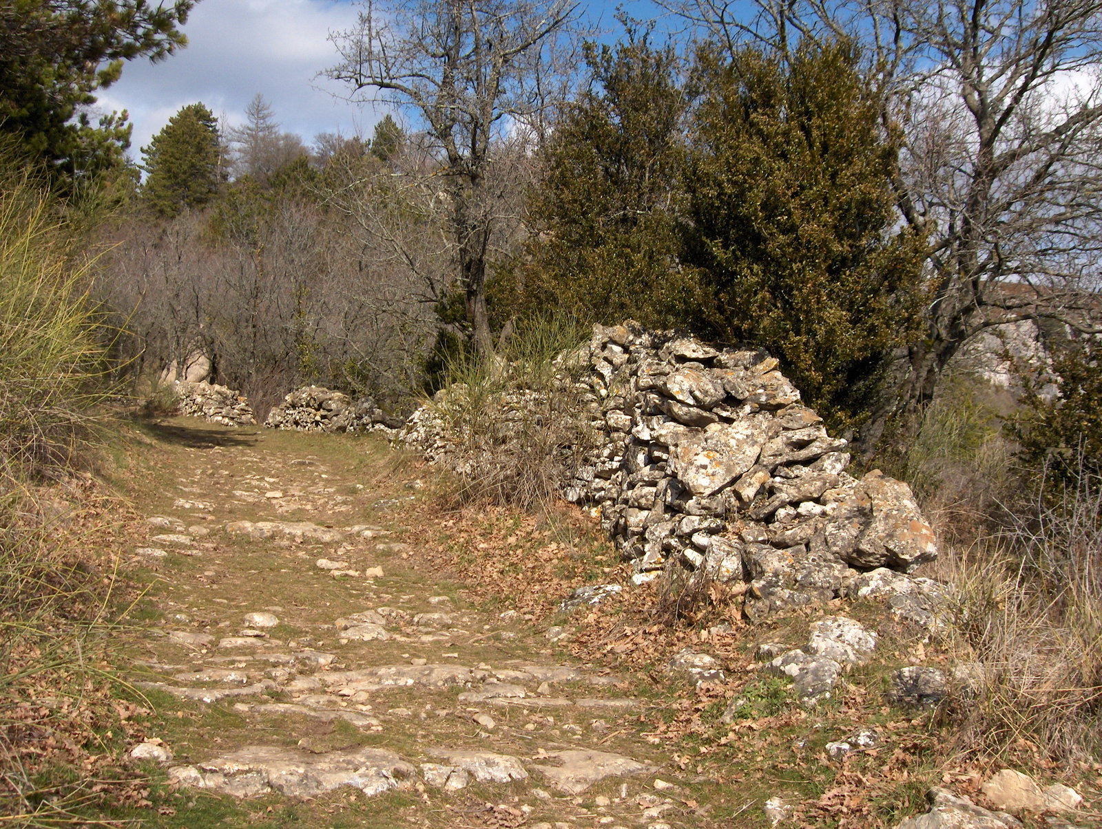 Quedarse En Casa Soubès 316676