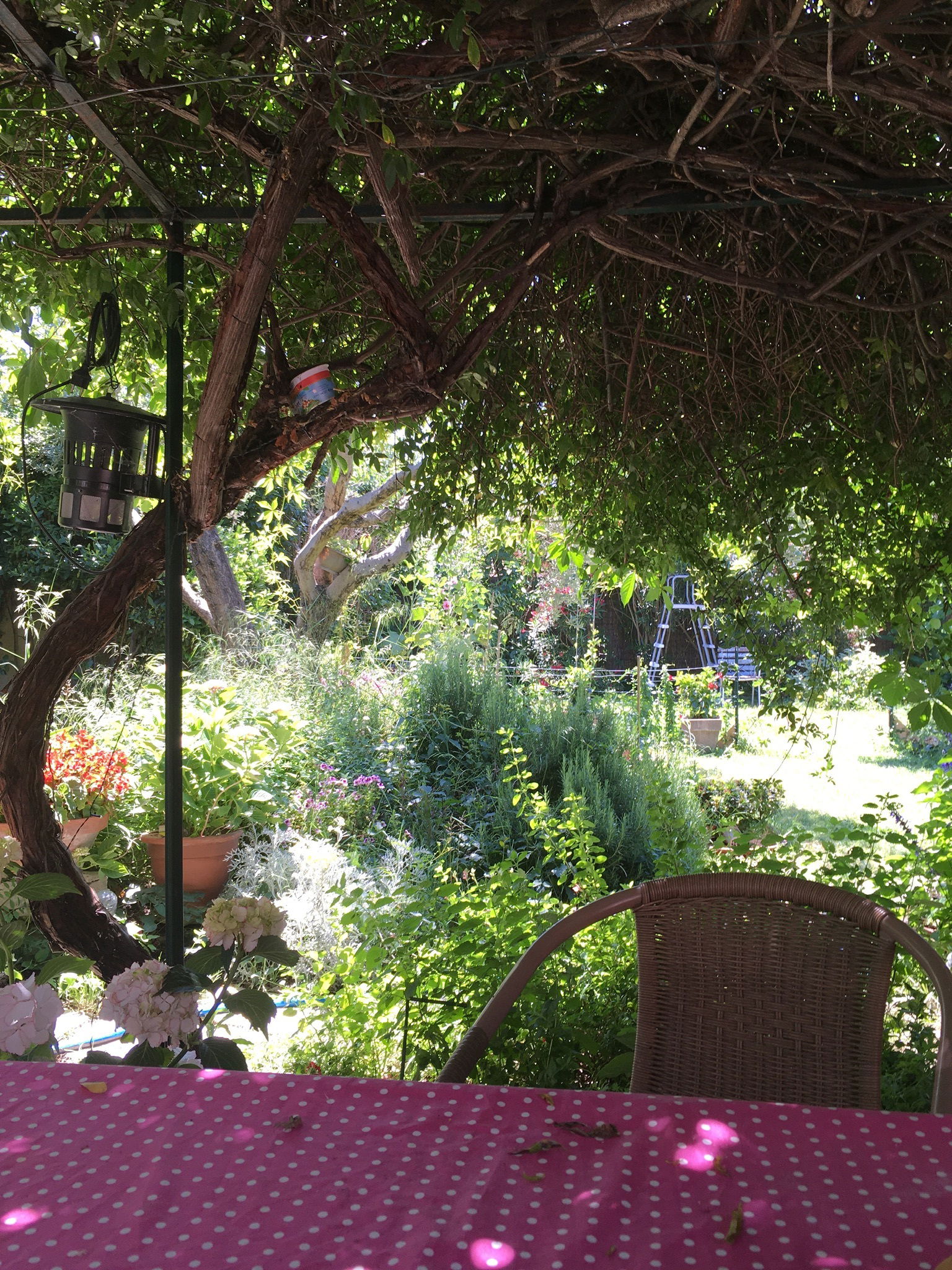 Estudio Independiente Tarascon 237596