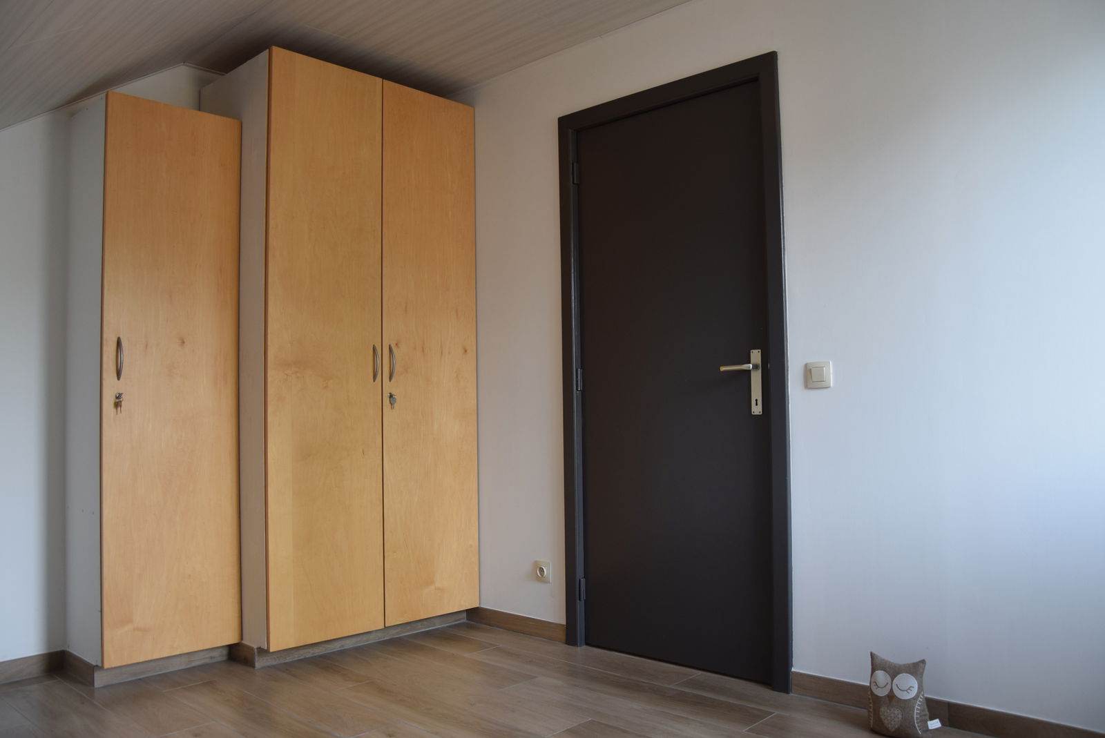 Estudio Independiente Bertrix 240017