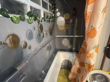 Logement entier à louer à Alacant - photo 7 : salle de bain-7
