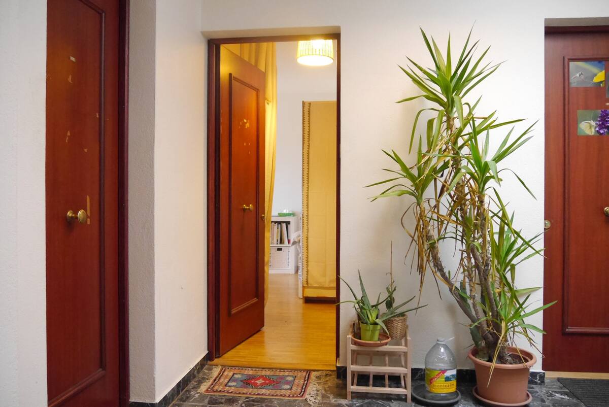 Estudio Independiente Genève 263768