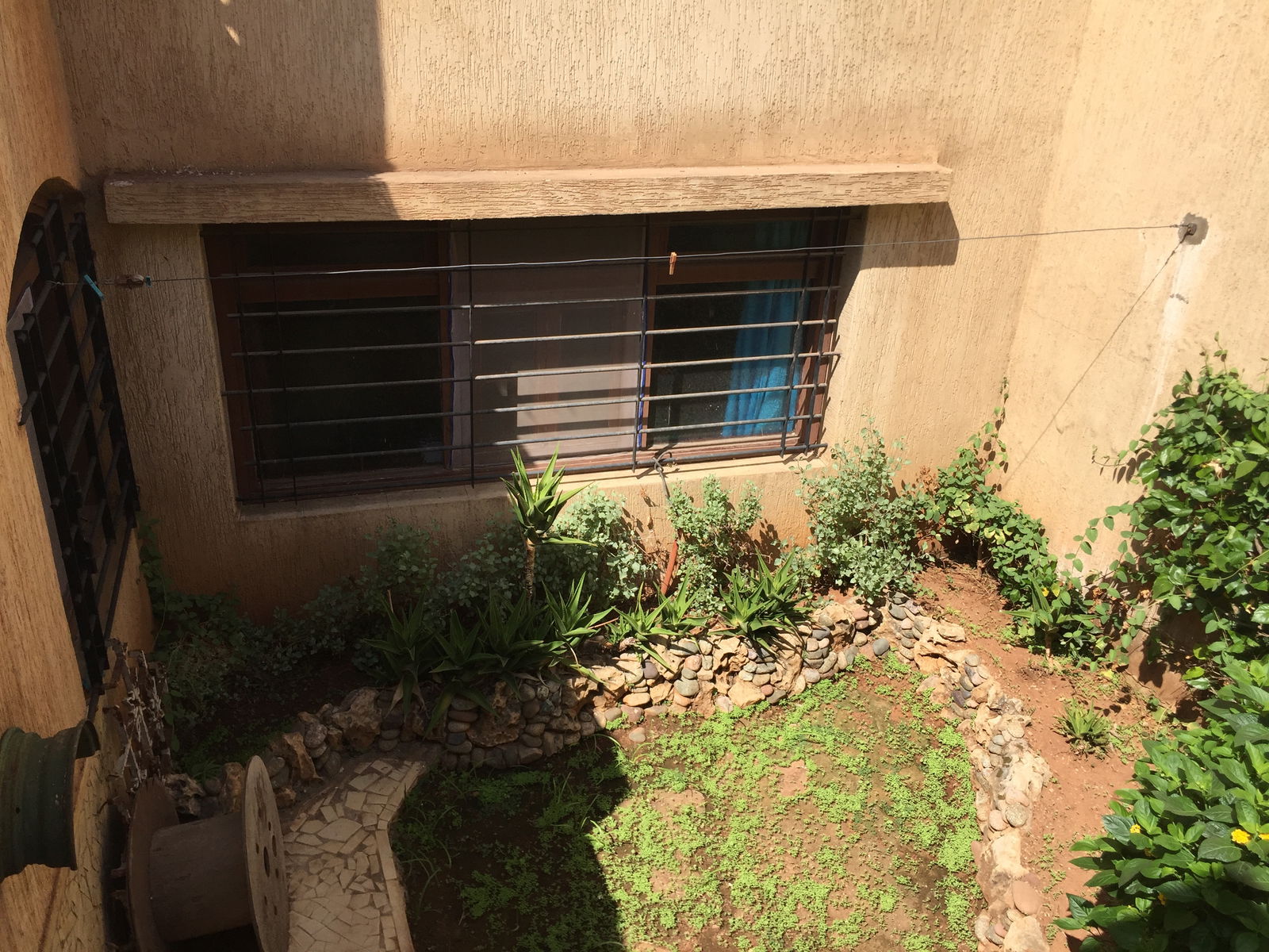 Estudio Independiente Casablanca 150611