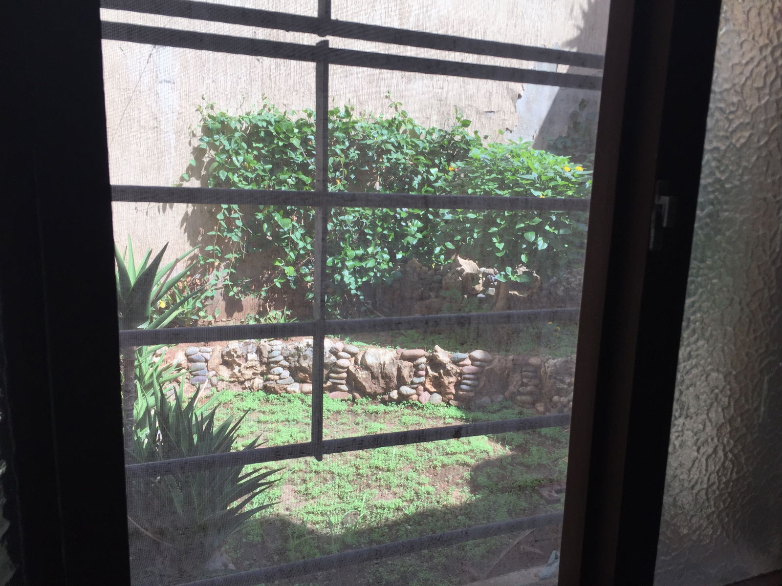 Estudio Independiente Casablanca 150611