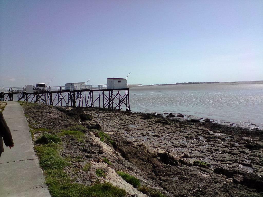 Estudio Independiente Fouras 234239